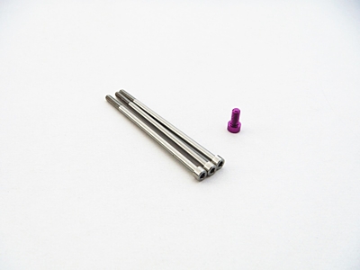 Hiro Seiko XeRun V10 G3 Titan/Aluminum Screw Set (Purple)